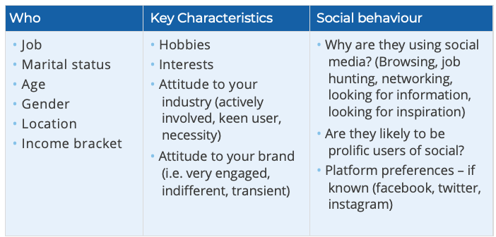 Infographic depicting the social behaviour and key characteristics of a persona, highlighting demographics, interests, and online habits